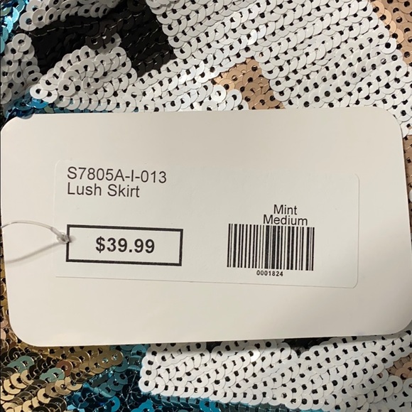 Sequin Skirt - Picture 3 of 3